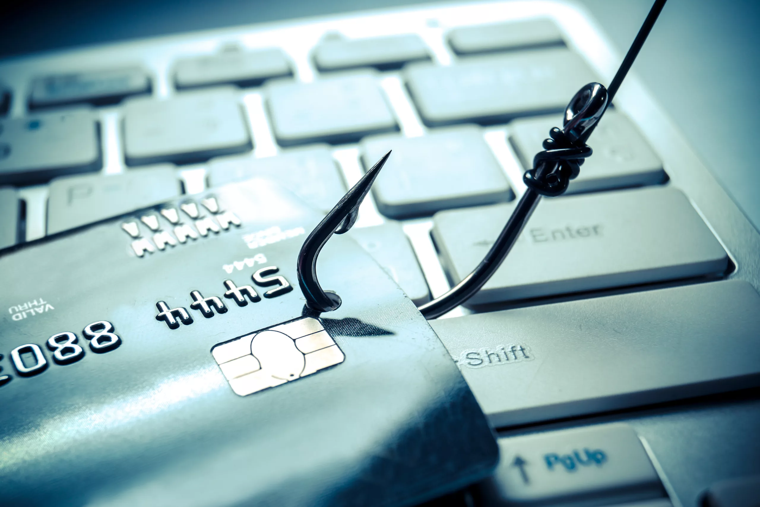phishing scam fraud alert